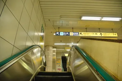 DSC_3597 (Large).JPG